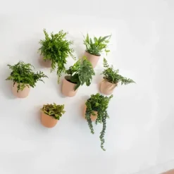 QUVIO Wand bloempot - Kunststof - Terracotta