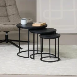 Salontafel Organisch - Zwart Mangohout - Set Van 3 - Kila