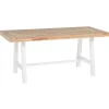SCANIA - Tuintafel - Lichte houtkleur - 80 x 170 cm - Acaciahout
