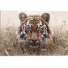 Schilderij Tijger op jacht - 60 x 90cm - Bruin