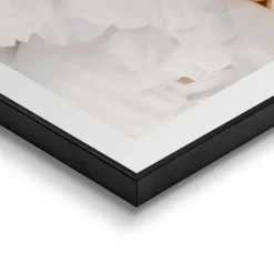 Schilderij Witte rozen - 70 x 50cm - Wit