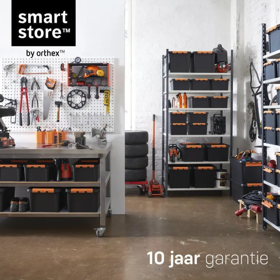 SmartStore Stevige Opbergbox 31L Set van 2 - 50x39x26cm