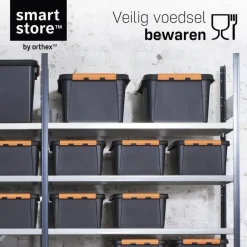 SmartStore Stevige Opbergbox 31L Set van 2 - 50x39x26cm