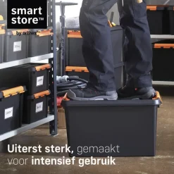 SmartStore Stevige Opbergbox 31L Set van 2 - 50x39x26cm