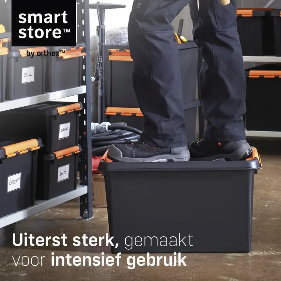 SmartStore Stevige Opbergbox 31L Set van 2 - 50x39x26cm