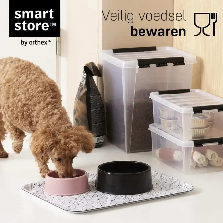 SmartStore Stevige Opbergbox 46L Set van 3 - 59x39x31cm