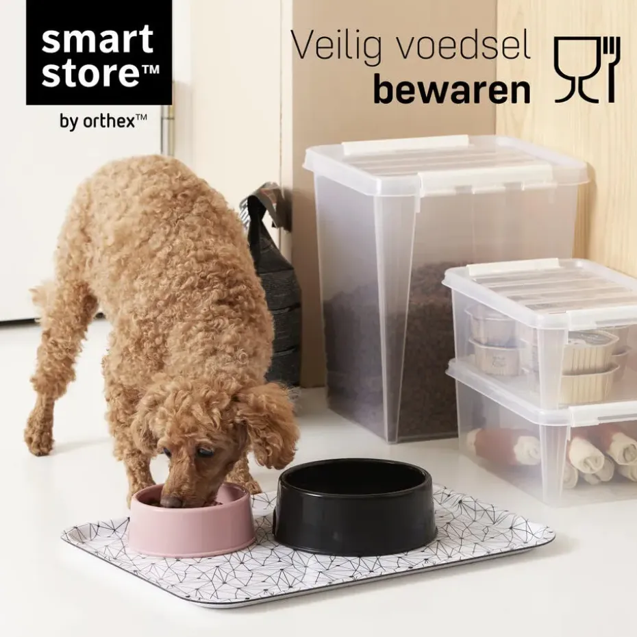SmartStore Stevige Opbergbox 14L Set van 8 - 40x30x18cm
