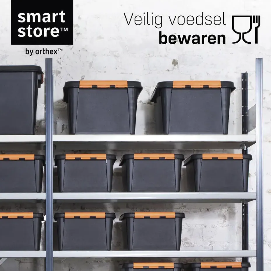 SmartStore Stevige Opbergbox 14L Set van 3 - 40x30x19cm