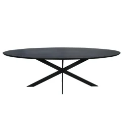 Starfurn - Eettafel Ferris - Zwart - 100x210x76 cm