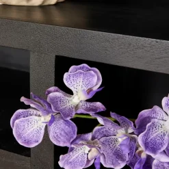 StarFurn - Vakkenkast Brussel XL 160 cm - zwart