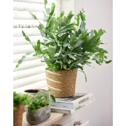 Steege Plantenpot - beige - gevlochten zeegras - 22 x 19 cm