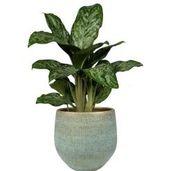 Steege Plantenpot - moderne look - blauw - 36 x 32 cm