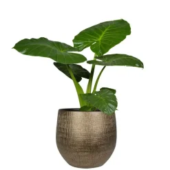 Steege Plantenpot - modern design - goudkleurig - 32 x 36 cm