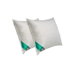 Ten Cate 100% Eendenveren Hoofdkussen - 60x70 - 2 stuks