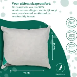 Ten Cate 100% Eendenveren Hoofdkussen - 60x70 - 2 stuks