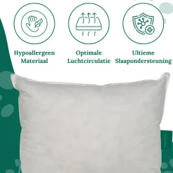 Ten Cate 100% Eendenveren Hoofdkussen - 60x70 - 2 stuks