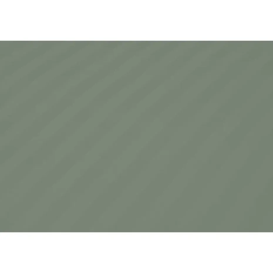 Ten Cate 100% Katoensatijnen Lits-jumeaux Dekbedovertrek - 240x200/220 - Groen