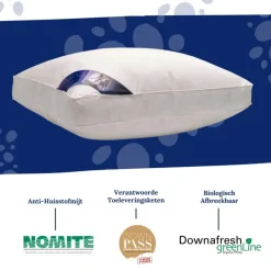 Ten Cate boxkussen - halfdons - 60x70 - 2 stuks