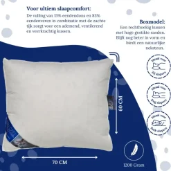 Ten Cate boxkussen - halfdons - 60x70 - 2 stuks