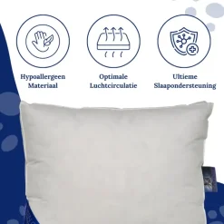 Ten Cate boxkussen - halfdons - 60x70 - 2 stuks