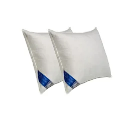 Ten Cate Halfdonzen Hoofdkussen - 60x70 - 2 stuks
