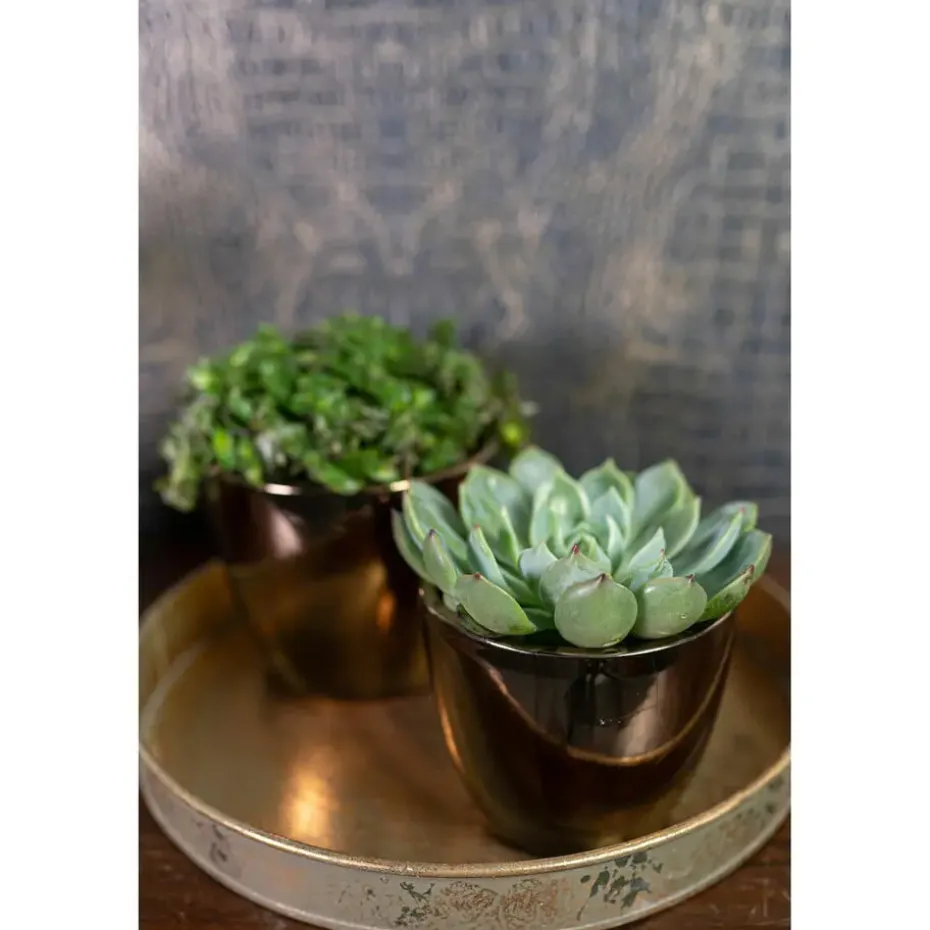 Ter Steege Bloempot - goud - Scandinavisch - 20 x 19 cm