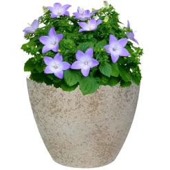 Ter Steege Bloempot/plantenpot - buiten - beige/goud - D13/H12 cm