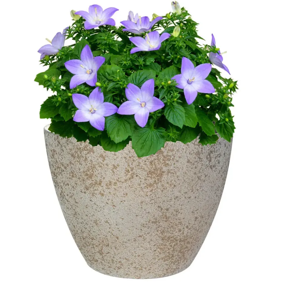 Ter Steege Bloempot/plantenpot - buiten - beige/goud - D13/H12 cm