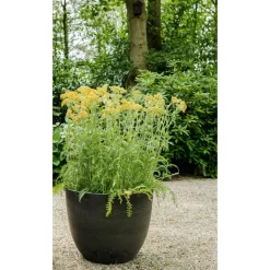 Ter Steege Plantenpot - zwart - kunststof - 45 x 38 cm