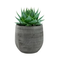 Ter Steege Plantenpot/bloempot - keramiek - grijs - 15 x 13 cm