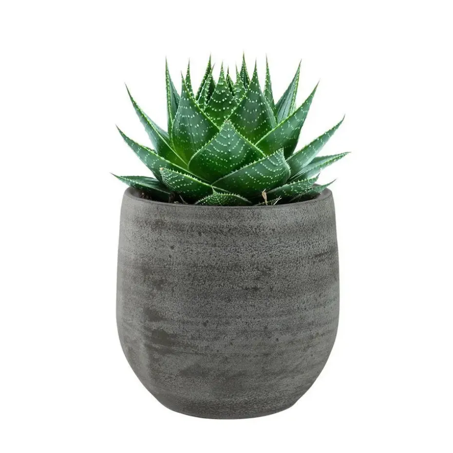 Ter Steege Plantenpot/bloempot - keramiek - grijs - 15 x 13 cm