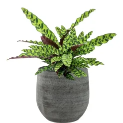 Ter Steege Plantenpot/bloempot - keramiek - grijs - 22 x 20 cm