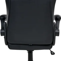 TRIUMPHER - Bureaustoel - Zwart - Kunstleer