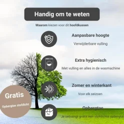 Troonz Verkoelend Hoofdkussen One - 80x80 cm