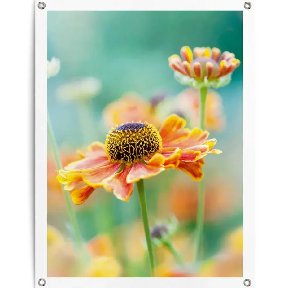 Tuinposter Bloem - 80 x 60cm - Oranje