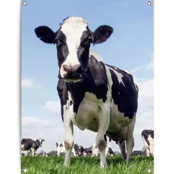 Tuinposter Dutch Cow - 80 x 60cm - Groen