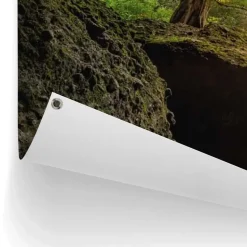 Tuinposter Grot - 100 x 140cm - Bont