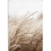 Tuinposter Helmgras - 120 x 80cm - Beige