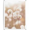 Tuinposter Katoentak - 80 x 60cm - Beige