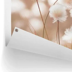 Tuinposter Katoentak - 80 x 60cm - Beige