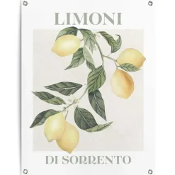 Tuinposter Limoni - 80 x 60cm - Geel
