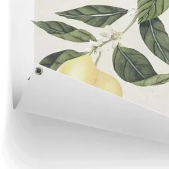 Tuinposter Limoni - 80 x 60cm - Geel