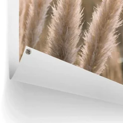 Tuinposter Pampas - 80 x 60cm - Beige