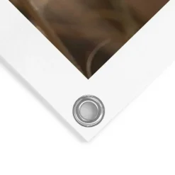 Tuinposter Pampas - 80 x 60cm - Beige