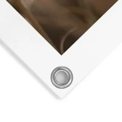 Tuinposter Pampas - 80 x 60cm - Beige