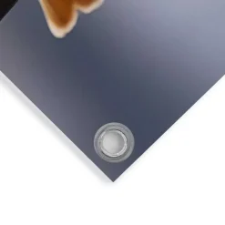 Tuinposter Pastel Birds - 60 x 80cm - Bont