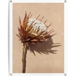 Tuinposter Schaduw bloem - 80 x 60cm - Bruin