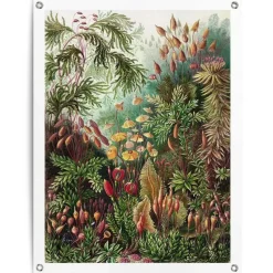 Tuinposter Sea Flora - 80 x 60cm - Groen