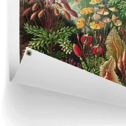 Tuinposter Sea Flora - 80 x 60cm - Groen