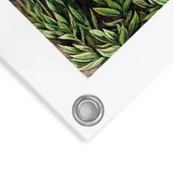 Tuinposter Sea Flora - 80 x 60cm - Groen